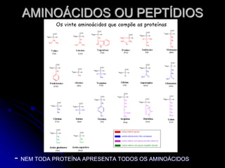 AMINOÁCIDOS OU PEPTÍDIOS
- NEM TODA PROTEÍNA APRESENTA TODOS OS AMINOÁCIDOS
 