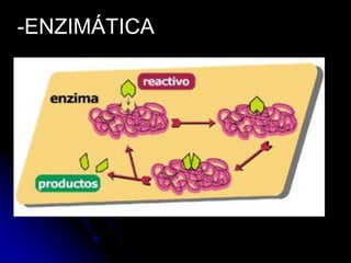 -ENZIMÁTICA
 