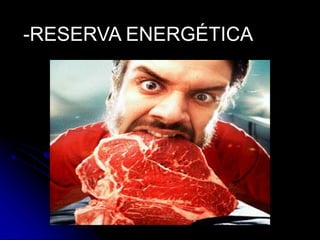 -RESERVA ENERGÉTICA
 