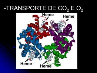 -TRANSPORTE DE CO2 E O2
 