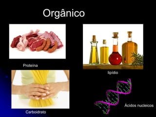 Orgânico
Proteína
lipídio
Carboidrato
Ácidos nucleicos
 
