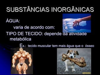 SUBSTÂNCIAS INORGÂNICAS
ÁGUA:
varia de acordo com:
TIPO DE TECIDO: depende da atividade
metabólica
Ex.: tecido muscular tem mais água que o ósseo
 