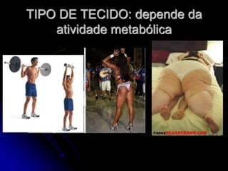 TIPO DE TECIDO: depende da
atividade metabólica
 