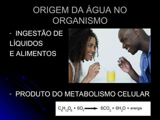 ORIGEM DA ÁGUA NO
ORIGEM DA ÁGUA NO
ORGANISMO
ORGANISMO
- INGESTÃO DE
INGESTÃO DE
LÍQUIDOS
LÍQUIDOS
E ALIMENTOS
E ALIMENTOS
- PRODUTO DO METABOLISMO CELULAR
PRODUTO DO METABOLISMO CELULAR
 