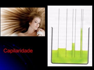Capilaridade
 