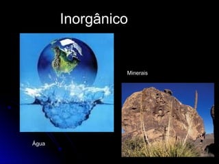 Inorgânico
Água
Minerais
 