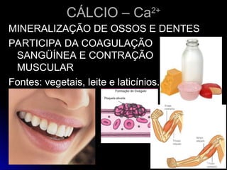 CÁLCIO – Ca
CÁLCIO – Ca2+
2+
MINERALIZAÇÃO DE OSSOS E DENTES
MINERALIZAÇÃO DE OSSOS E DENTES
PARTICIPA DA COAGULAÇÃO
PARTICIPA DA COAGULAÇÃO
SANGÜÍNEA E CONTRAÇÃO
SANGÜÍNEA E CONTRAÇÃO
MUSCULAR
MUSCULAR
Fontes: vegetais, leite e laticínios.
Fontes: vegetais, leite e laticínios.
 