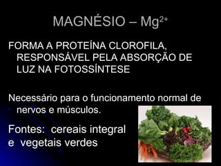 MAGNÉSIO – Mg
MAGNÉSIO – Mg2+
2+
FORMA A PROTEÍNA CLOROFILA,
FORMA A PROTEÍNA CLOROFILA,
RESPONSÁVEL PELA ABSORÇÃO DE
RESPONSÁVEL PELA ABSORÇÃO DE
LUZ NA FOTOSSÍNTESE
LUZ NA FOTOSSÍNTESE
Necessário para o funcionamento normal de
Necessário para o funcionamento normal de
nervos e músculos.
nervos e músculos.
Fontes: cereais integral
e vegetais verdes
 