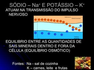 SÓDIO – Na
SÓDIO – Na+
+
E POTÁSSIO – K
E POTÁSSIO – K+
+
ATUAM NA TRANSMISSÃO DO IMPULSO
ATUAM NA TRANSMISSÃO DO IMPULSO
NERVOSO
NERVOSO
EQUILIBRIO ENTRE AS QUANTIDADES DE
EQUILIBRIO ENTRE AS QUANTIDADES DE
SAIS MINERAIS DENTRO E FORA DA
SAIS MINERAIS DENTRO E FORA DA
CÉLULA (EQUILÍBRIO OSMÓTICO)
CÉLULA (EQUILÍBRIO OSMÓTICO)
Fontes: Na - sal de cozinha
K – carnes, leite e frutas
 