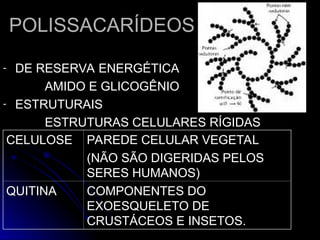 POLISSACARÍDEOS
POLISSACARÍDEOS
- DE RESERVA ENERGÉTICA
DE RESERVA ENERGÉTICA
AMIDO E GLICOGÊNIO
AMIDO E GLICOGÊNIO
- ESTRUTURAIS
ESTRUTURAIS
ESTRUTURAS CELULARES RÍGIDAS
ESTRUTURAS CELULARES RÍGIDAS
CELULOSE
CELULOSE PAREDE CELULAR VEGETAL
PAREDE CELULAR VEGETAL
(NÃO SÃO DIGERIDAS PELOS
(NÃO SÃO DIGERIDAS PELOS
SERES HUMANOS)
SERES HUMANOS)
QUITINA
QUITINA COMPONENTES DO
COMPONENTES DO
EXOESQUELETO DE
EXOESQUELETO DE
CRUSTÁCEOS E INSETOS.
CRUSTÁCEOS E INSETOS.
 