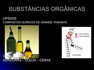 SUBSTÂNCIAS ORGÂNICAS
SUBSTÂNCIAS ORGÂNICAS
LIPÍDIOS
LIPÍDIOS
COMPOSTOS QUÍMICOS DE GRANDE TAMANHO
COMPOSTOS QUÍMICOS DE GRANDE TAMANHO
CONHECIDOS COMO:
CONHECIDOS COMO:
GORDURAS – ÓLEOS – CERAS
GORDURAS – ÓLEOS – CERAS
 
