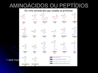 AMINOÁCIDOS OU PEPTÍDIOS
AMINOÁCIDOS OU PEPTÍDIOS
-
- NEM TODA PROTEÍNA APRESENTA TODOS OS AMINOÁCIDOS
NEM TODA PROTEÍNA APRESENTA TODOS OS AMINOÁCIDOS
 