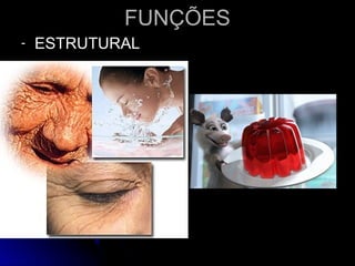 FUNÇÕES
FUNÇÕES
- ESTRUTURAL
ESTRUTURAL
 