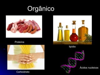 Orgânico
Proteína
lipídio
Carboidrato
Ácidos nucleicos
 