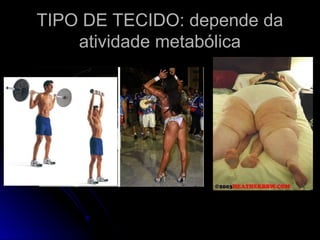 TIPO DE TECIDO: depende da
TIPO DE TECIDO: depende da
atividade metabólica
atividade metabólica
 
