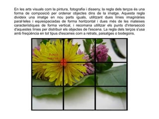 En les arts visuals com la pintura, fotografia i disseny, la regla dels terços és una
forma de composició per ordenar objectes dins de la imatge. Aquesta regla
divideix una imatge en nou parts iguals, utilitzant dues línies imaginàries
paral·leles i equiespaciadas de forma horitzontal i dues més de les mateixes
característiques de forma vertical, i recomana utilitzar els punts d'intersecció
d'aquestes línies per distribuir els objectes de l'escena. La regla dels terços s'usa
amb freqüència en tot tipus d'escenes com a retrats, paisatges o bodegons.
 