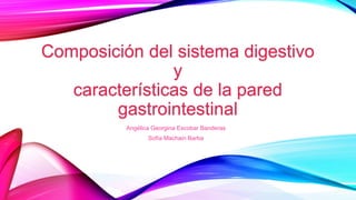 Composición del sistema digestivo
y
características de la pared
gastrointestinal
Angélica Georgina Escobar Banderas
Sofía Machain Barba
 