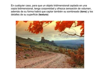 En cualquier caso, para que un objeto tridimensional captado en una
copia bidimensional, tenga corporeidad y ofrezca sensación de volumen,
además de su forma habrá que captar también su sombreado (tono) y los
detalles de su superficie (textura)
 
