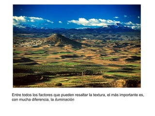Entre todos los factores que pueden resaltar la textura, el más importante es,
con mucha diferencia, la iluminación
 