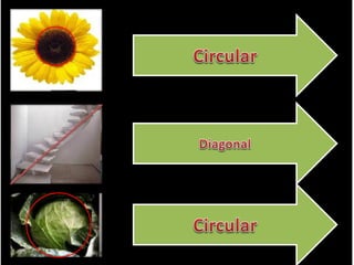 Composición artística