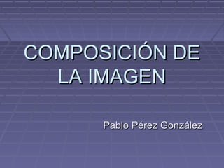 COMPOSICIÓN DE
  LA IMAGEN

      Pablo Pérez González
 