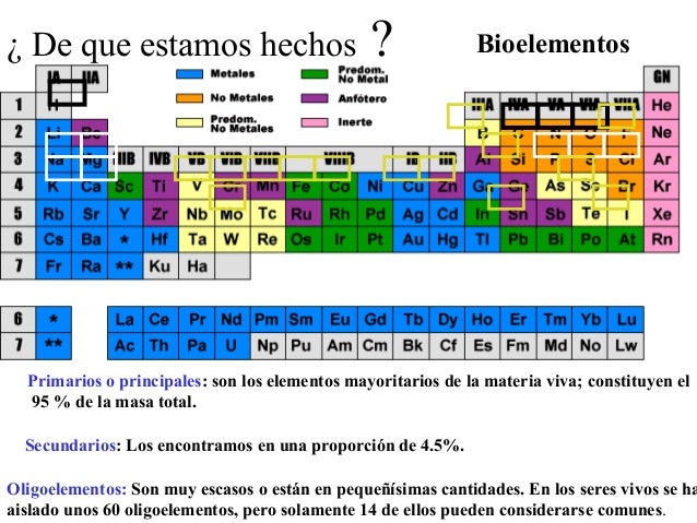 Composiciòn de la materia viva