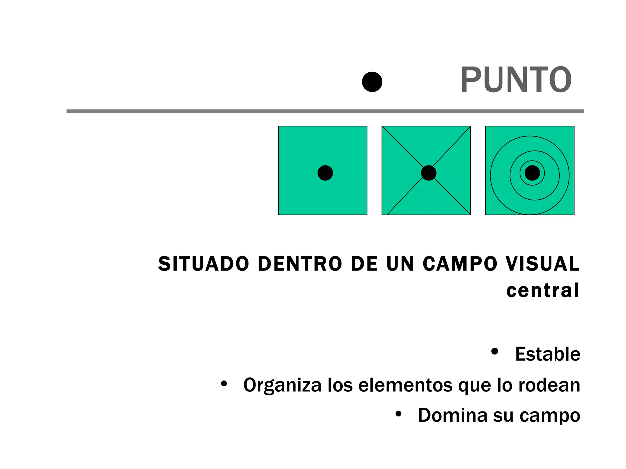 SITUADO DENTRO DE UN CAMPO VISUAL central Estable Organiza los elementos que lo rodean Domina su campo PUNTO 
