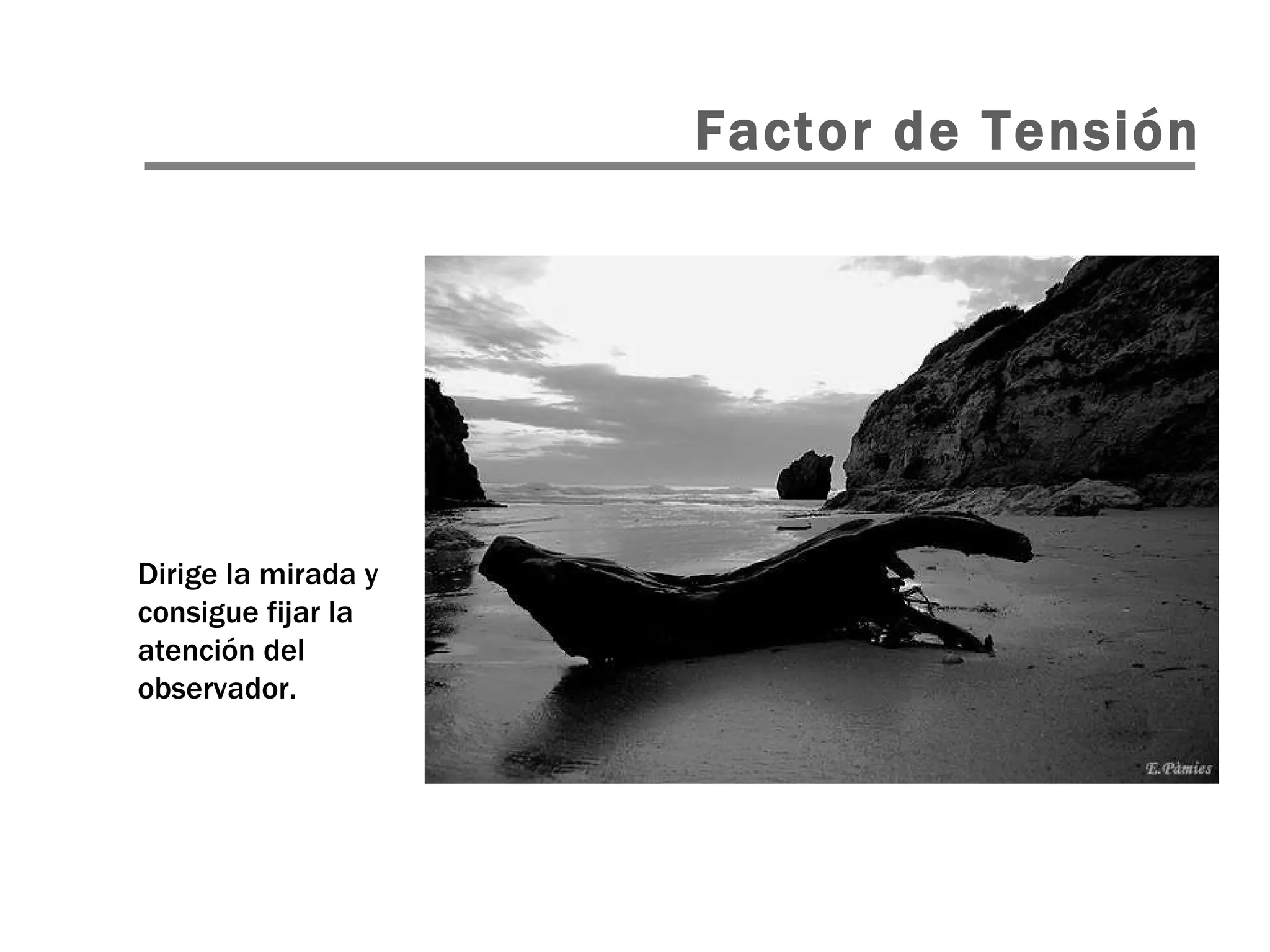 Dirige la mirada y consigue fijar la atención del observador. Factor de Tensión 