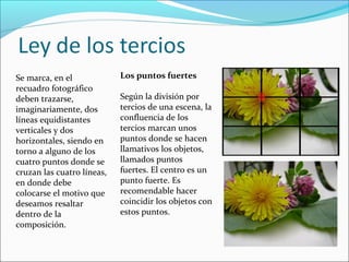 Se marca, en el
recuadro fotográfico
deben trazarse,
imaginariamente, dos
líneas equidistantes
verticales y dos
horizontales, siendo en
torno a alguno de los
cuatro puntos donde se
cruzan las cuatro líneas,
en donde debe
colocarse el motivo que
deseamos resaltar
dentro de la
composición.
Los puntos fuertes
Según la división por
tercios de una escena, la
confluencia de los
tercios marcan unos
puntos donde se hacen
llamativos los objetos,
llamados puntos
fuertes. El centro es un
punto fuerte. Es
recomendable hacer
coincidir los objetos con
estos puntos.
 