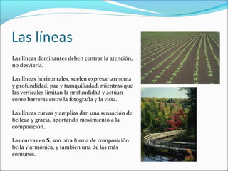 Las líneas dominantes deben centrar la atención,
no desviarla.
Las líneas horizontales, suelen expresar armonía
y profundidad, paz y tranquiliadad, mientras que
las verticales limitan la profundidad y actúan
como barreras entre la fotografía y la vista.
Las líneas curvas y amplias dan una sensación de
belleza y gracia, aportando movimiento a la
composición..
Las curvas en S, son otra forma de composición
bella y armónica, y también una de las más
comunes.
 