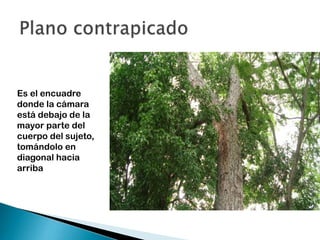 Es el encuadre
donde la cámara
está debajo de la
mayor parte del
cuerpo del sujeto,
tomándolo en
diagonal hacia
arriba

 