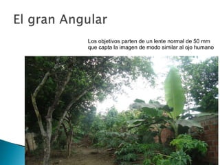 Los objetivos parten de un lente normal de 50 mm
que capta la imagen de modo similar al ojo humano

 