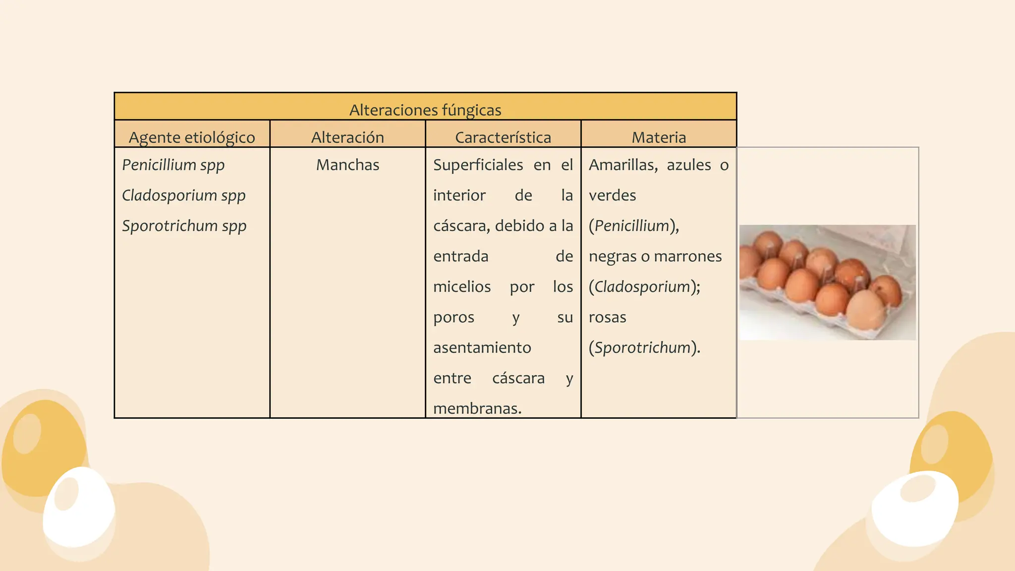 Composici n General Del Huevo Microorganismos Que Causan La Alteraci n 