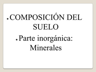 ●

COMPOSICIÓN DEL
SUELO
● Parte inorgánica:
Minerales

 