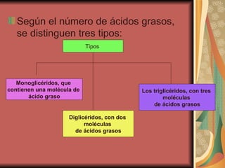 Según el número de ácidos grasos, se distinguen tres tipos: Tipos  Monoglicéridos, que  contienen una molécula de  ácido graso Diglicéridos, con dos  moléculas  de ácidos grasos Los triglicéridos, con tres  moléculas  de ácidos grasos 
