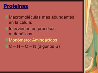 Proteínas Macromoléculas más abundantes en la célula. Intervienen en procesos metabólicos.  Monómero: Aminoácidos   C – H – O – N (algunos S)  