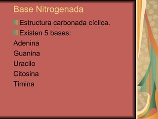 Base Nitrogenada  Estructura carbonada cíclica. Existen 5 bases: Adenina  Guanina  Uracilo  Citosina  Timina  
