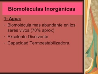 Biomoléculas Inorgánicas  1- Agua:   Biomolécula mas abundante en los seres vivos.(70% aprox)  Excelente Disolvente  Capacidad Termoestabilizadora.  