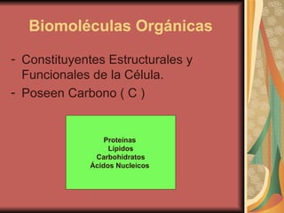 Biomoléculas Orgánicas   Constituyentes Estructurales y Funcionales de la Célula.  Poseen Carbono ( C )  Proteínas  Lípidos Carbohidratos Ácidos Nucleicos   