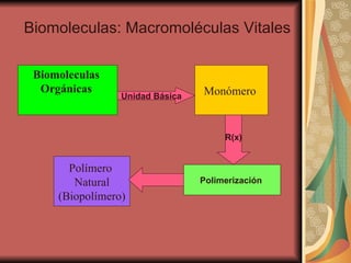Biomoleculas: Macromoléculas Vitales  Biomoleculas  Orgánicas   Monómero  Polímero  Natural (Biopolímero) Unidad Básica R(x) Polimerización  