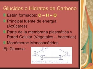 Glúcidos o Hidratos de Carbono  Están formados:  C – H – O   Principal fuente de energía (Azúcares)  Parte de la membrana plasmática y Pared Celular (Vegetales – bacterias) Monómero= Monosacáridos  Ej: Glucosa:  