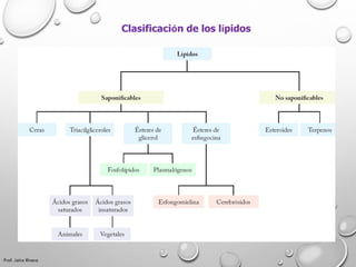 Clasificación de los lípidos
Prof. Jairo Rivera
 