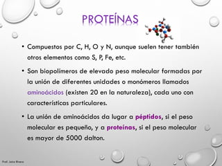 PROTEÍNAS
• Compuestos por C, H, O y N, aunque suelen tener también
otros elementos como S, P, Fe, etc.
• Son biopolímeros...