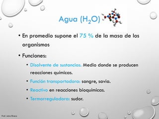 Agua (H2O)
• En promedio supone el 75 % de la masa de los
organismos
• Funciones:
• Disolvente de sustancias. Medio donde ...