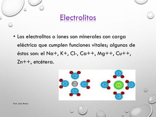 Electrolitos
• Los electrolitos o iones son minerales con carga
eléctrica que cumplen funciones vitales; algunos de
éstos ...