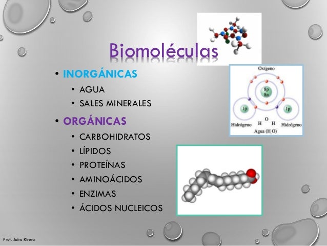 Biomoleculas y la composición química de la vida
