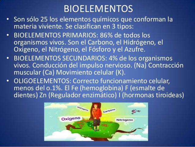Composición química de los seres vivos
