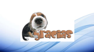 Tema: Redes Informáticas