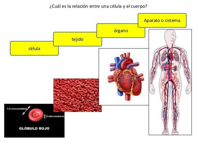 Cuaderno De Viaje De Cuarto CCNN Cuaderno De Viaje De Cuarto CCNN