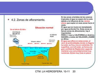 En las zonas orientales de los océanos
                                          tropicales el agua se separa de la costa
   4.2. Zonas de afloramiento.           debido a la influencia de los vientos
                                          alisios que soplan en esas zonas hacia el
                                          oeste.
                       Situación normal   El agua que se mueve es reemplazada
                                          por agua profunda fría. Estas zonas se
                                          llaman zonas de afloramiento; hay 4
                                          importantes:
                                          PERÚ ( + imp.) y CALIFORNIA en América.
                                          SAHARA y costas del KALAHARI y NAMIB
                                          en África.
                                          El agua que aflora en estas zonas, al
                                          venir de profundidades donde no llega la
                                          luz solar, es fría y rica en nutrientes. En
                                          superficie, con la E.solar, se forma una
                                          gran cantidad de fitoplancton capaz de
                                          mantener una comunidad animal muy
                                          numerosa. Zonas muy ricas en pesca




                      CTM. LA HIDROSFERA. 10-11         20
 
